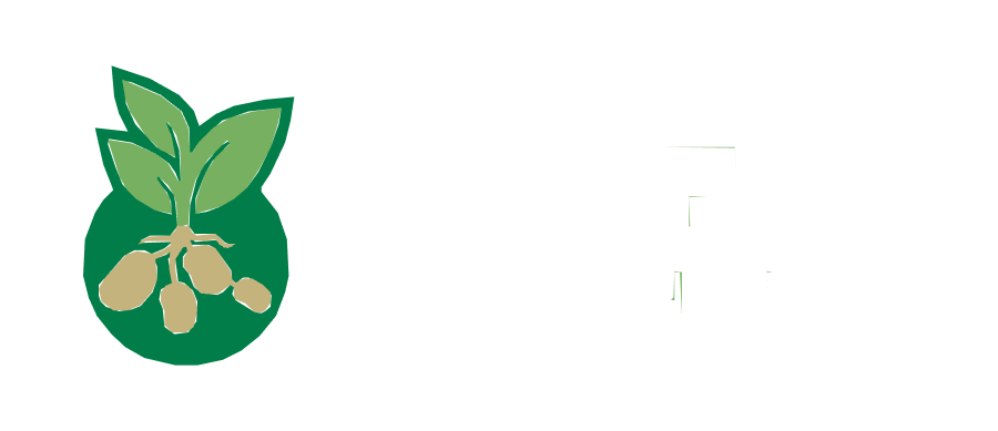 Patatas Bonet
